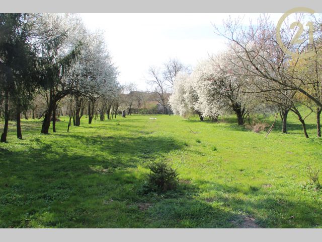 Obrázek k zakázce č.: 128681